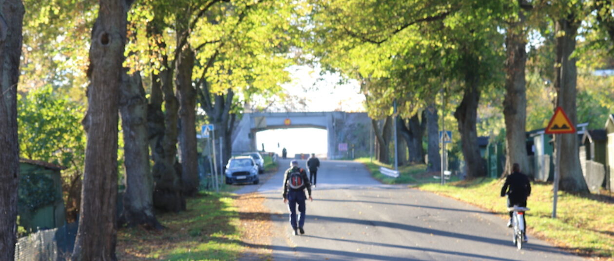 Koloniföreningen Söderbrunn – Stockholms äldsta koloniområde